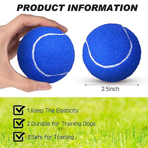 Colored Tennis Balls for Practice and Pet Play – 48 Pack