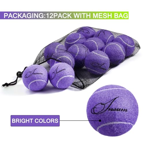 INSUM Purple Tennis Balls Bulk Set with Mesh Bag - Practice & Pet Play