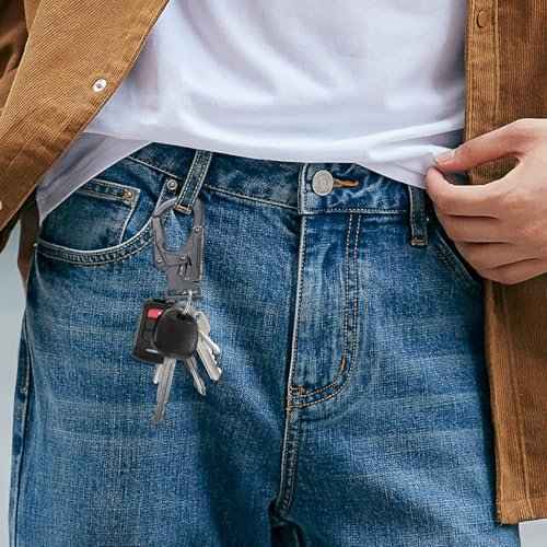 Ahiller Carabiner Clip,1.9'' Alloy Car Keychain Clip with 2 Key Ring,Outdoor Hooks,Small Key Holder for Man and Women