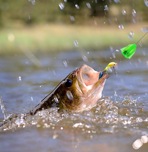 FCKLVMC 30 Pcs Catfish Rattles, Built-in 15 Ringing Beads Fishing Rattles for Catfishing, Compact Portable Catfish Rattle for Outdoor Fishing