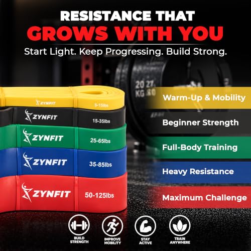 Multicolor 5-Level Resistance Bands Set for Full Body Workout - 5-125 lbs