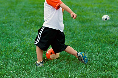 Daball Kid and Toddler Soccer Ball Size 1 & 3 with Pump & Gift Box - Happy Zebra