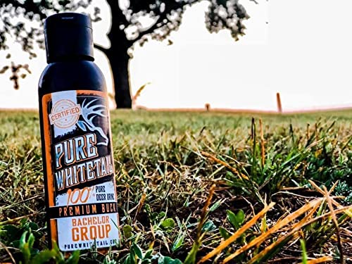 Bachelor Group | Whitetail Buck Urine | Fresh Pure Mock Scrape Urine | Cover Scent | Buck Pee | Fill Your Mock Scrape Dripper | Deer Scent | 4 oz Bottle