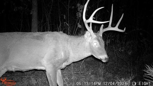 Wildgame Innovations 24MP Terra XD