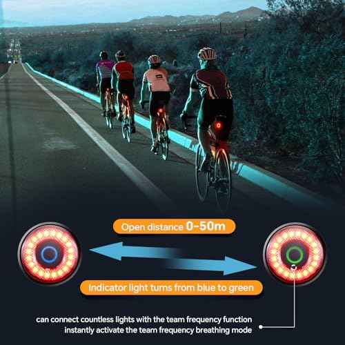 Smart Bike Tail Lights, Brake Sensing Bicycle Rear Lights for Night Riding, Ultra Brigh LED Taillights Auto On/Off, Easy Mount Cycling Safety Brake Taillight, USB Rechargeable, IPX6 Waterproof