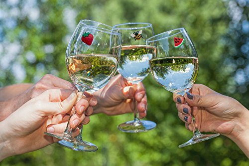 Magnetic Wine Glass Charms Set of 6 with Bee Strawberry Flowers - Reusable Drink Markers