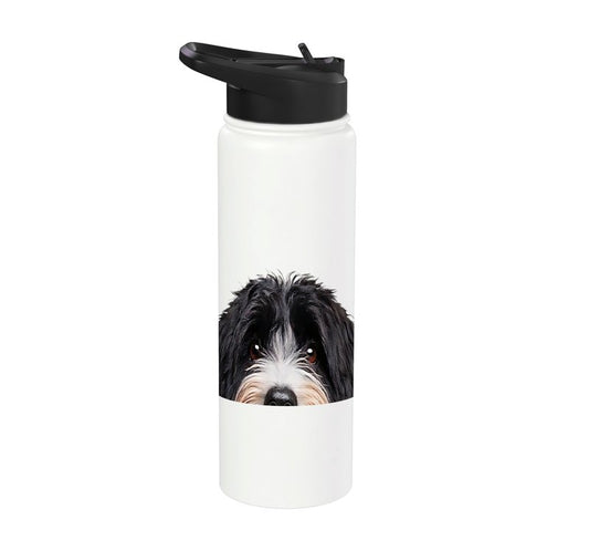 Funny Bernedoodle Peeking Dog Mom Dad Owner Stainless Steel Insulated Water Bottle