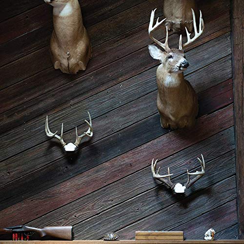 DIY Antler Mounting Kit with Skull Cap for Wall or Table Display - Adjustable & Durable
