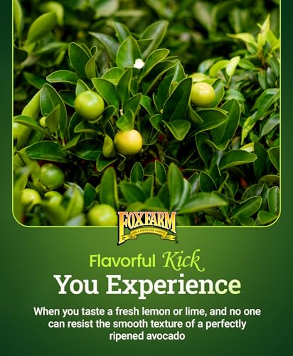 FoxFarm Happy Frog Citrus and Avocado Fertilizer 4 lb - OMRI Listed Slow-Release Tree Food
