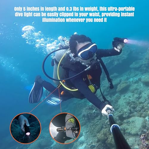 Compact Dive Light 530 Lumens Waterproof Underwater Flashlight for Scuba