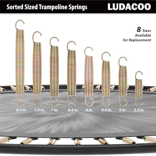 3.5 Inch Trampoline Springs Heavy Duty Stainless Steel Replacement Pack - Swivel & Straight Hooks, T-Hook Tool Included