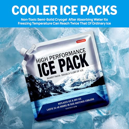 Medium Reusable Ice Packs for Coolers 5 Pack - Gel-Free Freezer Blocks
