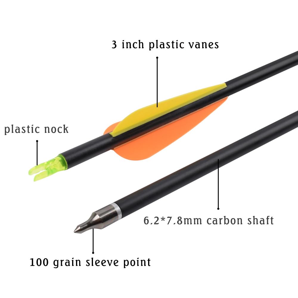 26 inch Carbon Arrow Hunting Arrows with 100 Grain Removable Tips for Archery Compound & Recurve & Traditional Bow Practice Shooting (Pack of 12)
