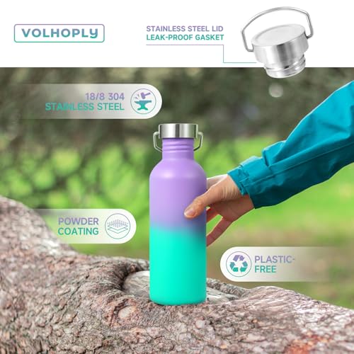 Uninsulated 32oz Stainless Steel Water Bottle with Handle - Purple Green