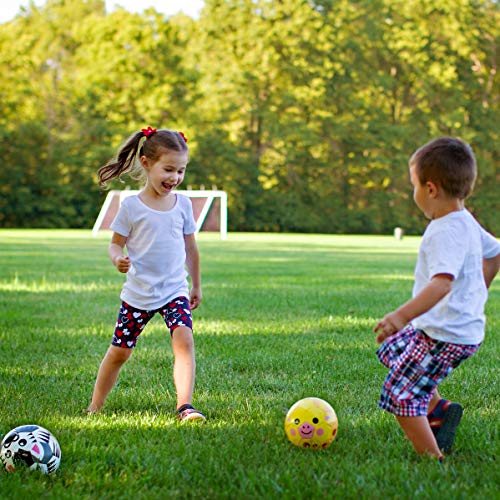 Daball Kid and Toddler Soccer Ball Size 1 & 3 with Pump & Gift Box - Happy Zebra