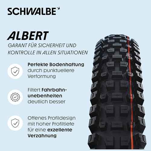 Schwalbe Albert Radial TLR Folding Tyre