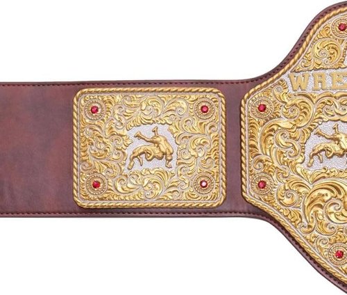 TRUESAGAUSA 4mm Dual Plate Big Gold Heavyweight Wrestling Title Belt Class One Replica Leather Strap Great Gift to Your DaD (Brown Strap)