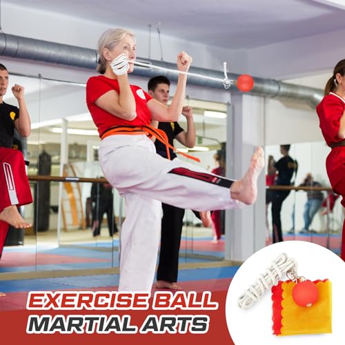 Martial Arts Practice Rope Dart Set with Rubber Meteor Hammer for Beginners