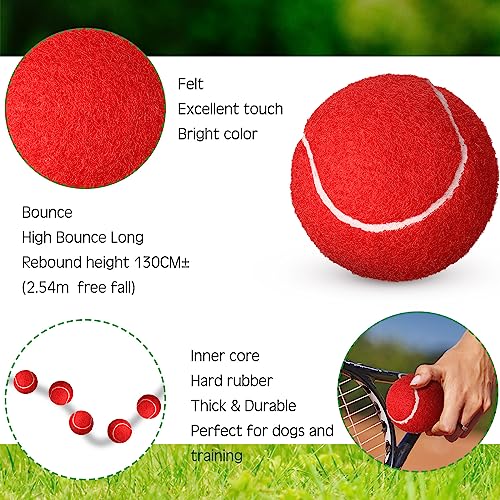 Colored Tennis Balls for Practice and Pet Play – 48 Pack