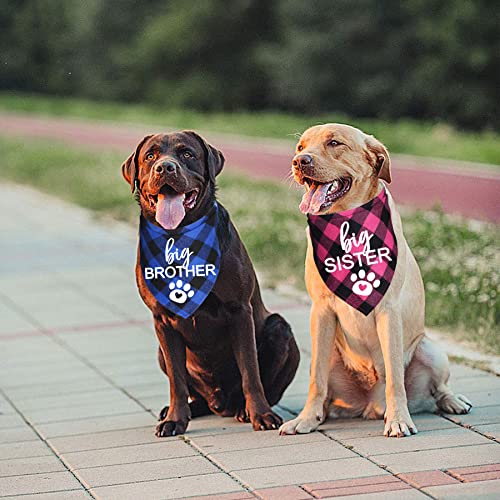 Pregnancy Announcement Dog Bandana - Blue and Pink Big Brother Big Sister Plaid for Dogs (Variation of THIS listing)
