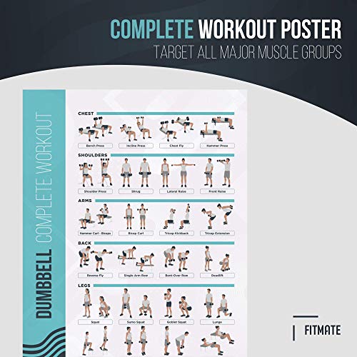 Dumbbell Exercise Poster - 24.8" x 16.5" Laminated Home Gym Workout Guide
