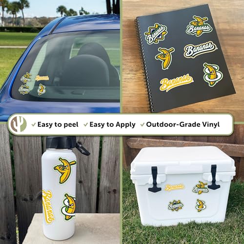 Desert Cactus Savannah Bananas Sticker Decal 5.25 x 10 Inches - Outdoor Vinyl