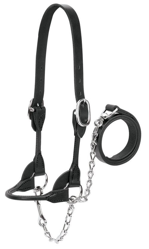 Weaver Leather Livestock Dairy/Beef Rounded Show Halter , Black , X-Small