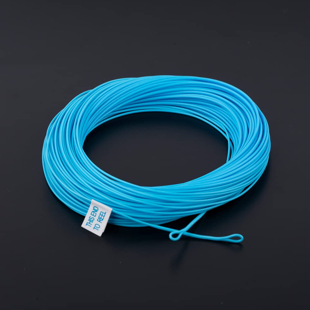 HERCULES Fly Fishing Line Floating Weight Forward Fly Line with Double Welded Loop, Teal Blue, WF5F 100FT