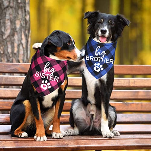 Pregnancy Announcement Dog Bandana - Blue and Pink Big Brother Big Sister Plaid for Dogs (Variation of THIS listing)