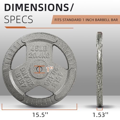 Fitvids Cast Iron 1-Inch Standard Weight Plate for Strength Training & Weightlifting, Multiple Weights Available