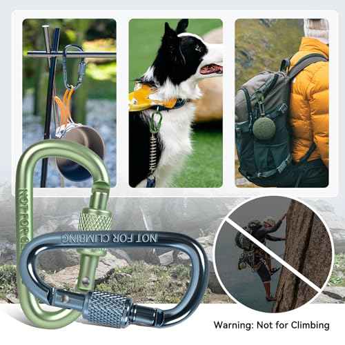 Carabiner Clip, Key Hooks for Keychain Aluminum D Ring Shape Carabiner, Key Chain Clip Hook, Keychain Clip, Multipurpose for Camping, Hiking, Backpacking or Other Outdoor Activities, 8PCS