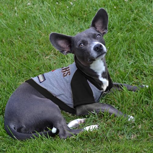 Arizona Diamondbacks Dog Hoodie Shirt - Small MLB Team Casual Petwear