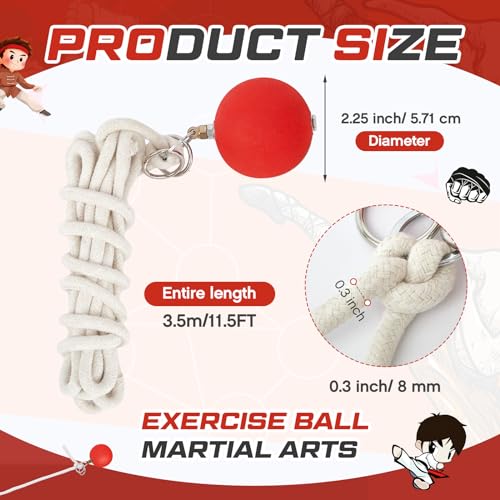 Martial Arts Practice Rope Dart Set with Rubber Meteor Hammer for Beginners