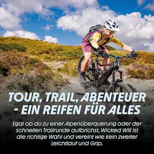 Schwalbe Wicked Will Performance Line Faltreifen // 57-622 (29x2,25')