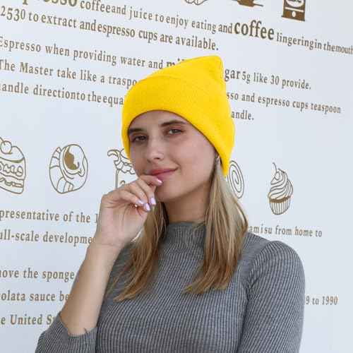 Rajputana 1 & 2 Packs Unisex Knit Winter Beanie Hats Cap Set for Men and Women