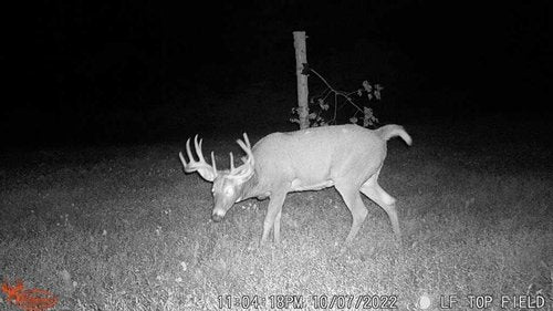 WGI Innovations Terra Xtreme 16Mp