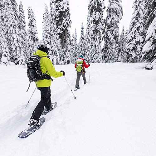 MSR DynaLock Trail 2-Section Alumunium Backcountry Poles, White, 80-140cm