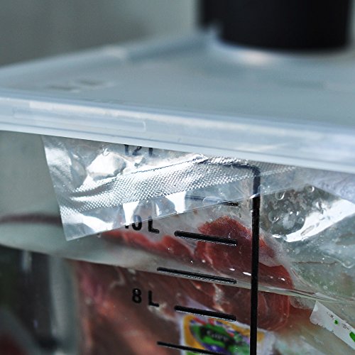 EVERIE 12 Quart Sous Vide Container with Collapsible Hinged Lid for Breville Joule