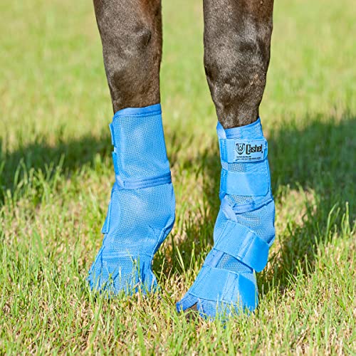 Horse Leg Guard Fly Boots - Blue, Set of Two, Durable Mesh Horse Boots (CASC-LG3)