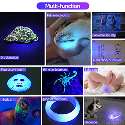 DarkDawn UV 365nm Mini Blacklight Flashlight 2 Pack - Invisible UV Light