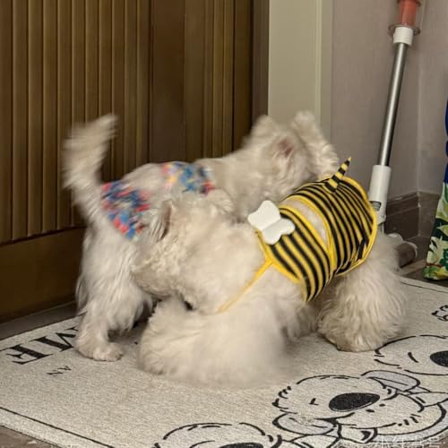 Pet Swimwear Bikini for Small Dogs & Cats - Yellow Bee X-Small