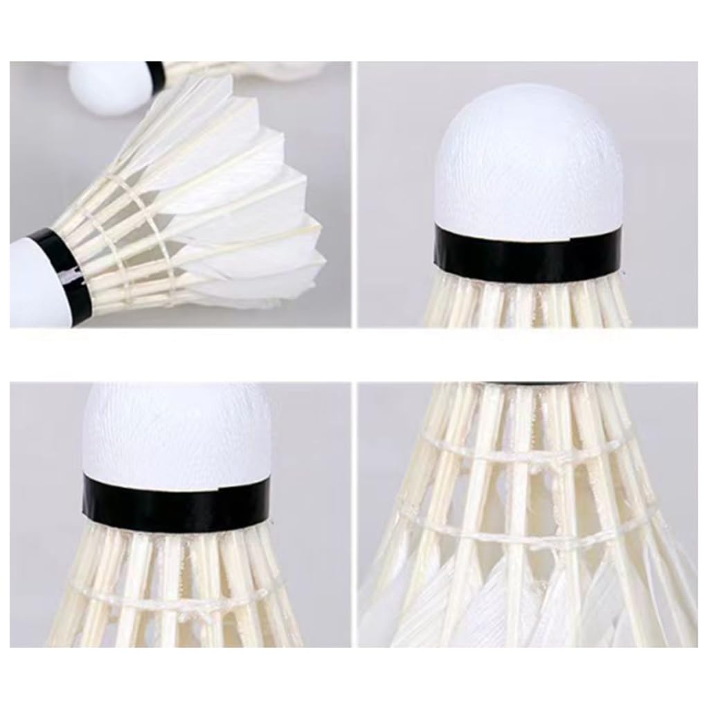 12 Pcs Shuttlecocks, Professional Badminton Shuttlecock Lightweight Training Sport Badminton Balls High Speed Badminton Birdies