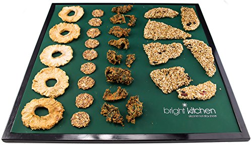 Silicone Dehydrator Sheets Set of 9 - Food Grade Non-Stick for Excalibur
