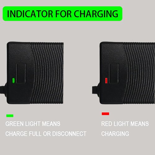 THEPRO 54.6V 2A ebike Battery Charger for 48V Lithium Battery, Universal 54.6V Electric Bike Scooter Power Adapter Chargers, 5.5mm DC Connector for 2.5mm