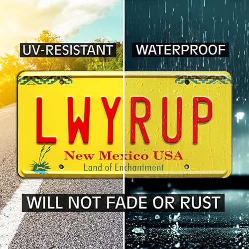 Breaking Bad License Plate Set - LWYRUP & The Capn Metal Embossed Plates