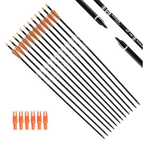 30Inch Carbon Arrow Practice Hunting Arrows with Removable Tips for Compound & Recurve Bow(Pack of 12)