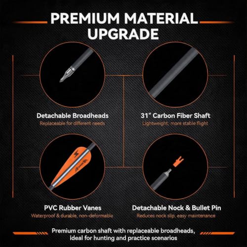 31 Inch Carbon Arrow Set for Target Practice Hunting Arrows with Removable Tips - 24 PC, 4 Colors