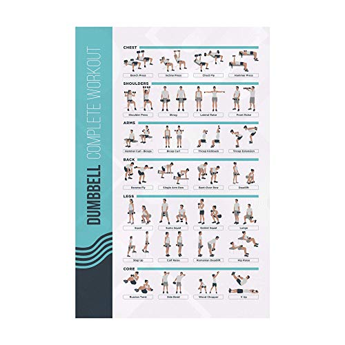 Dumbbell Exercise Poster - 24.8" x 16.5" Laminated Home Gym Workout Guide