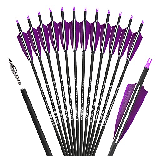 12 Pcs Purple Archery Carbon Arrows with 4-Inch Turkey Feathers for Hunting & Target Practice