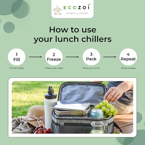Stainless Steel Lunch Chillers - Ice Packs for Lunch Bags & Bento Boxes, 2 Pack, Rectangle